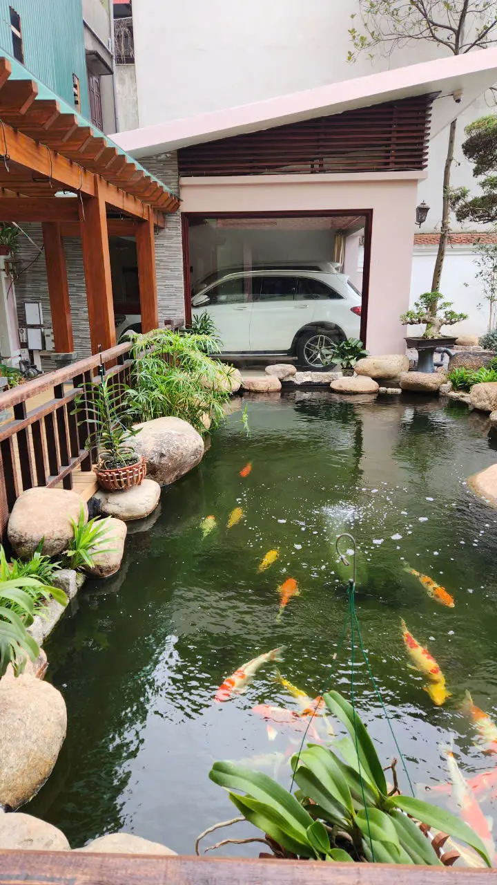Residential Koi Pond