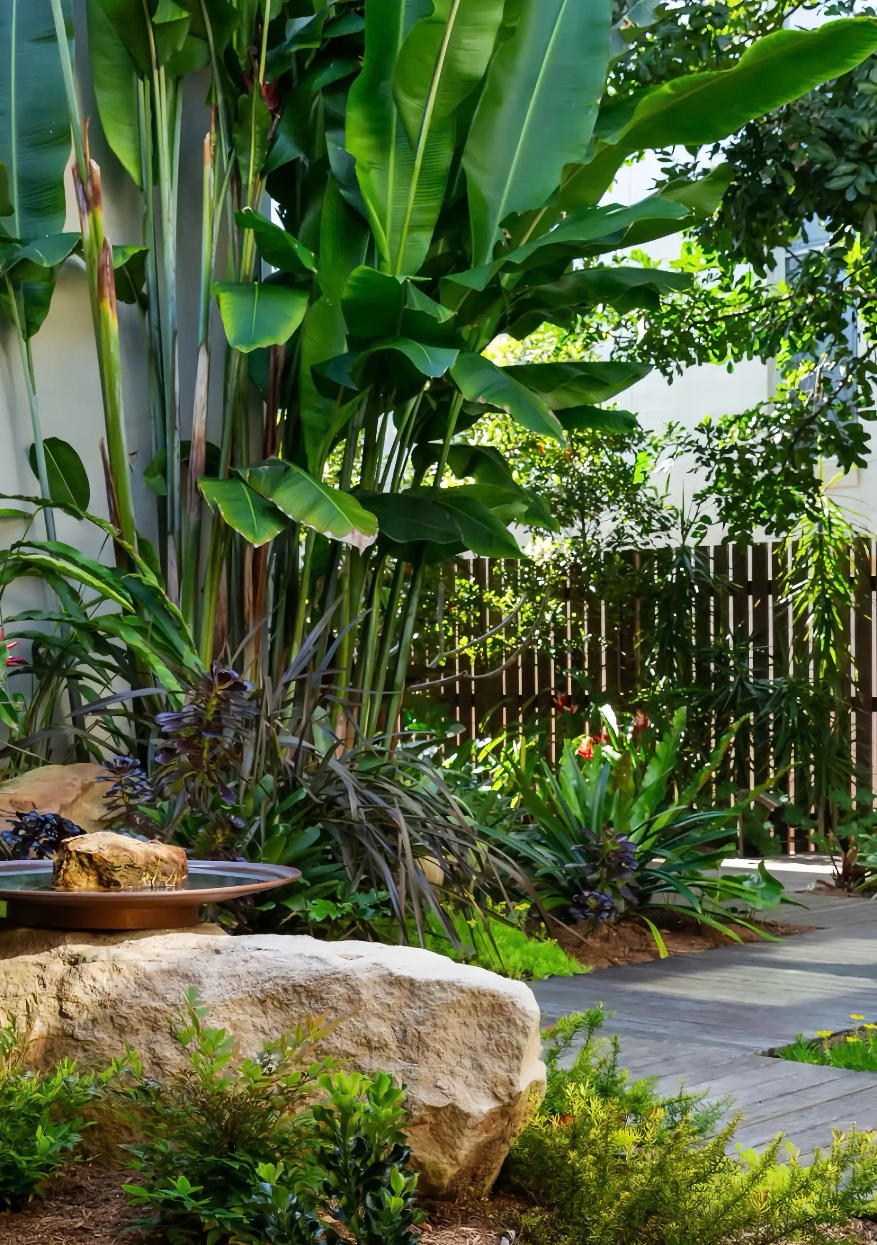 Tropical Garden Design