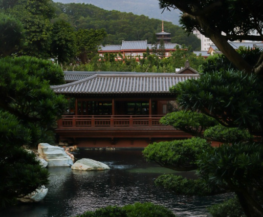 Vai trò của những loại cây bonsai trong hồ cá Koi