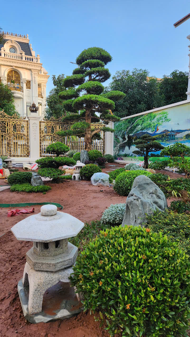 Modern Villa Landscape